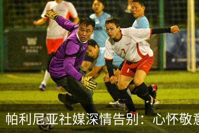 帕利尼亚社媒深情告别：心怀敬意与感恩，我向热刺家人们正式道别